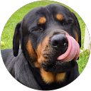 keith2372 profile picture