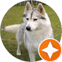 kylie williams profile picture