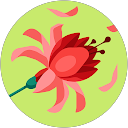 Kristine King profile picture
